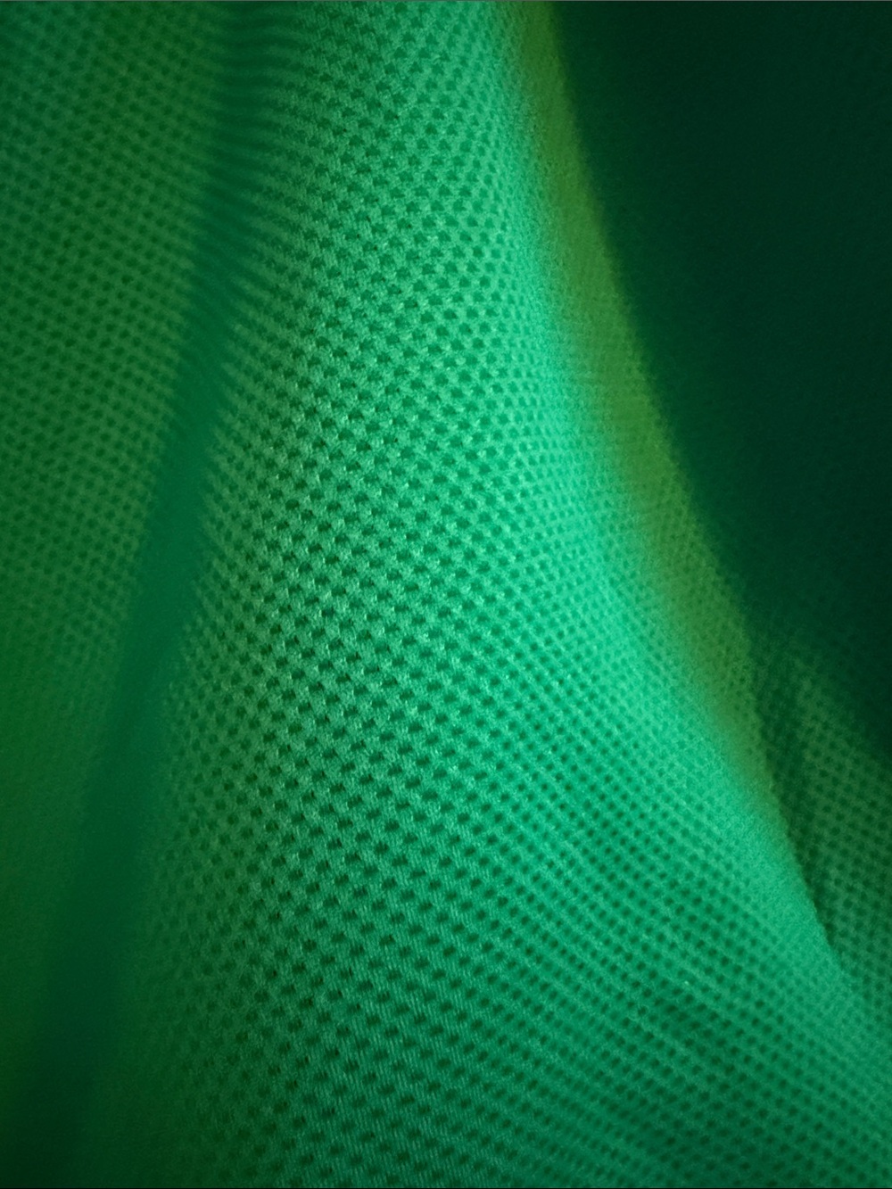 Avia Green Athletic Shorts with Black & White Trim - Picture 8 of 9